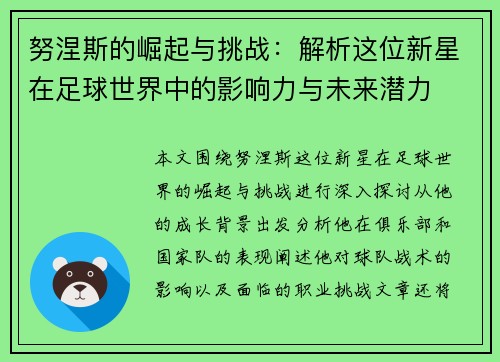 努涅斯的崛起与挑战：解析这位新星在足球世界中的影响力与未来潜力