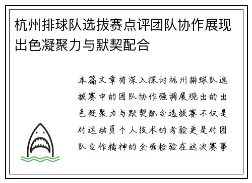 杭州排球队选拔赛点评团队协作展现出色凝聚力与默契配合